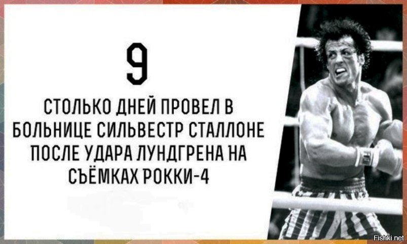 К этой картине сильвестр сталлоне написал сценарий 5 букв сканворд