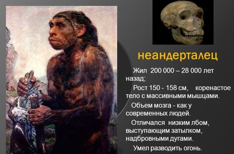 Неандерталец - а может всё было по другому?