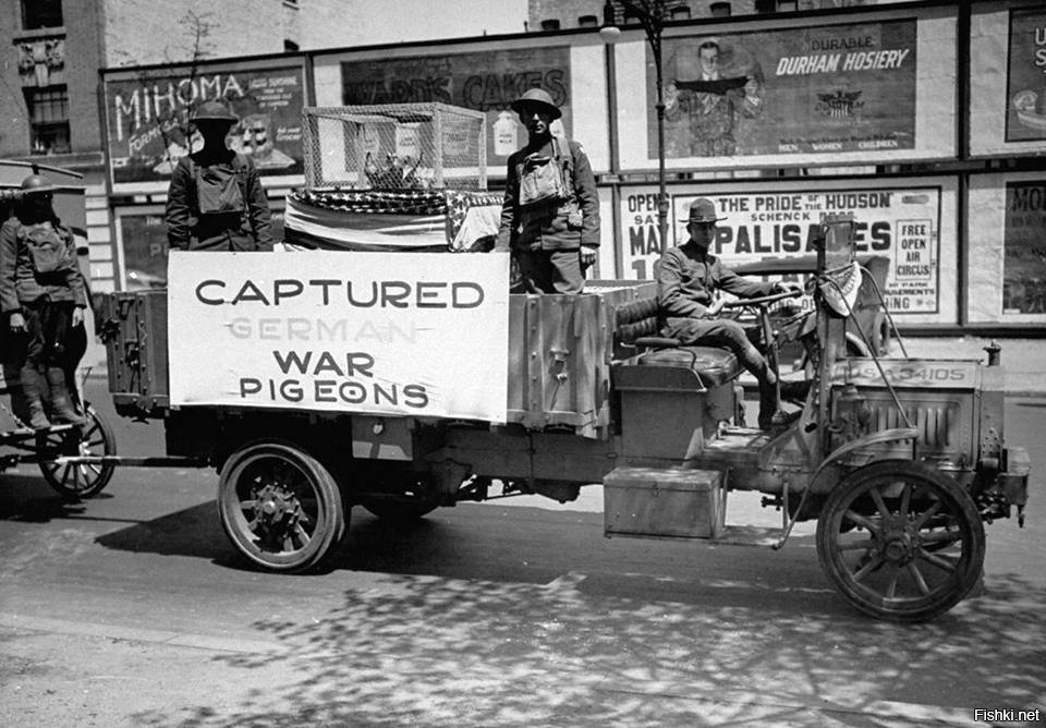 Надпись на грузовике: "Захваченные немецкие боевые голуби"