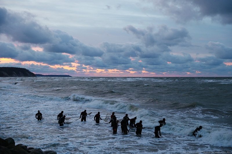 Как калининградцы на побережье ловят в сети янтарь