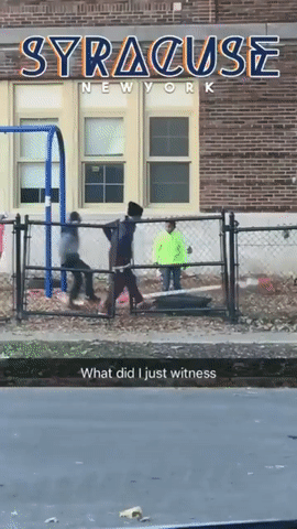 Гифки дня Гифки дня