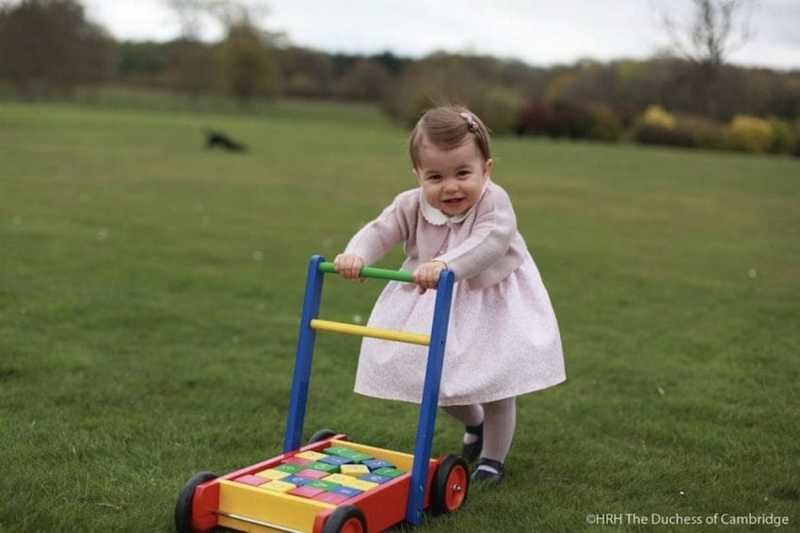 Принцесса Шарлотта Кембриджская - дочь герцога Кембриджского Уильяма и герцогини Кембриджской Кэтрин, родившаяся 2 мая 2015 года. Хотя малышке всего два года, она занимает четвёртое место в линии наследования британского престола. 