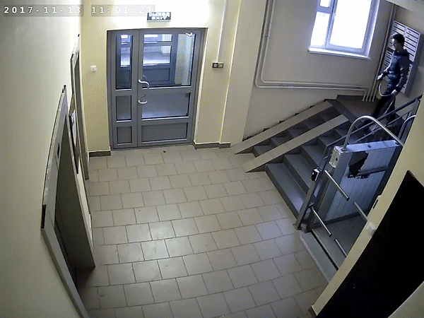 На прогулку с леопардом