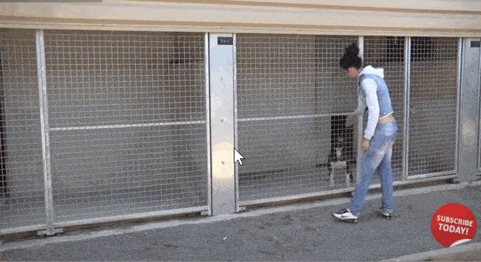 Выбери меня