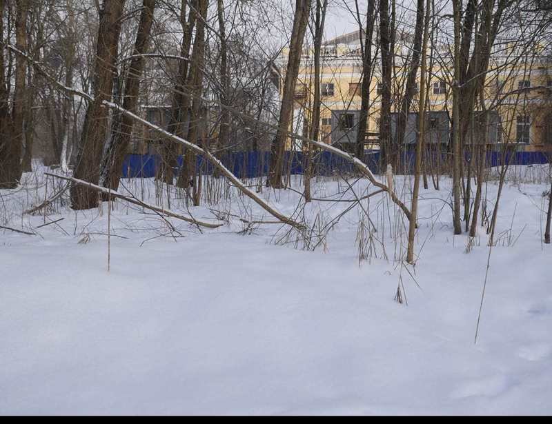 Александровский дворец  1917/2017