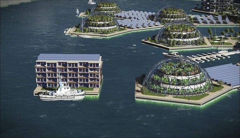 Институт Seasteading Institute, некоммерческая организация из Сан-Франциско, с 2008 года работает над проектом плавучего города в Тихом океане 