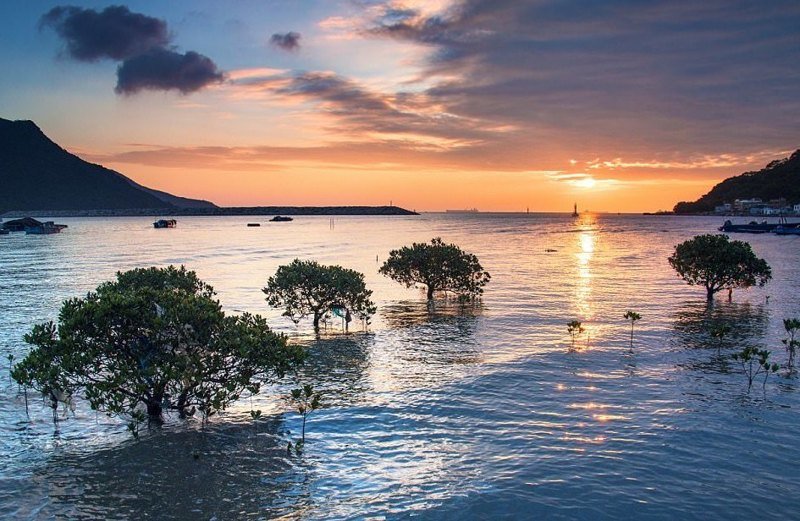 Танец солнечных лучей на водной глади Южно-Китайского моря у берегов Тай О