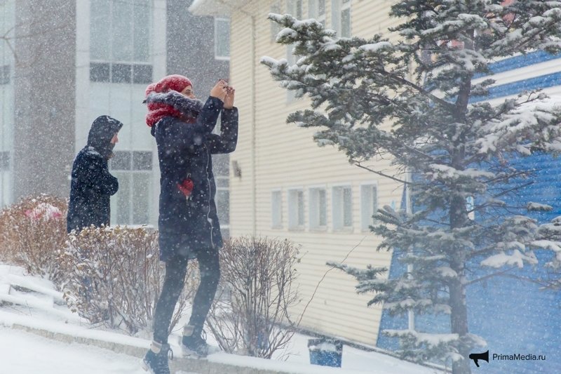 Владивосток парализовало после удара стихии 17 ноября. Фоторепортаж