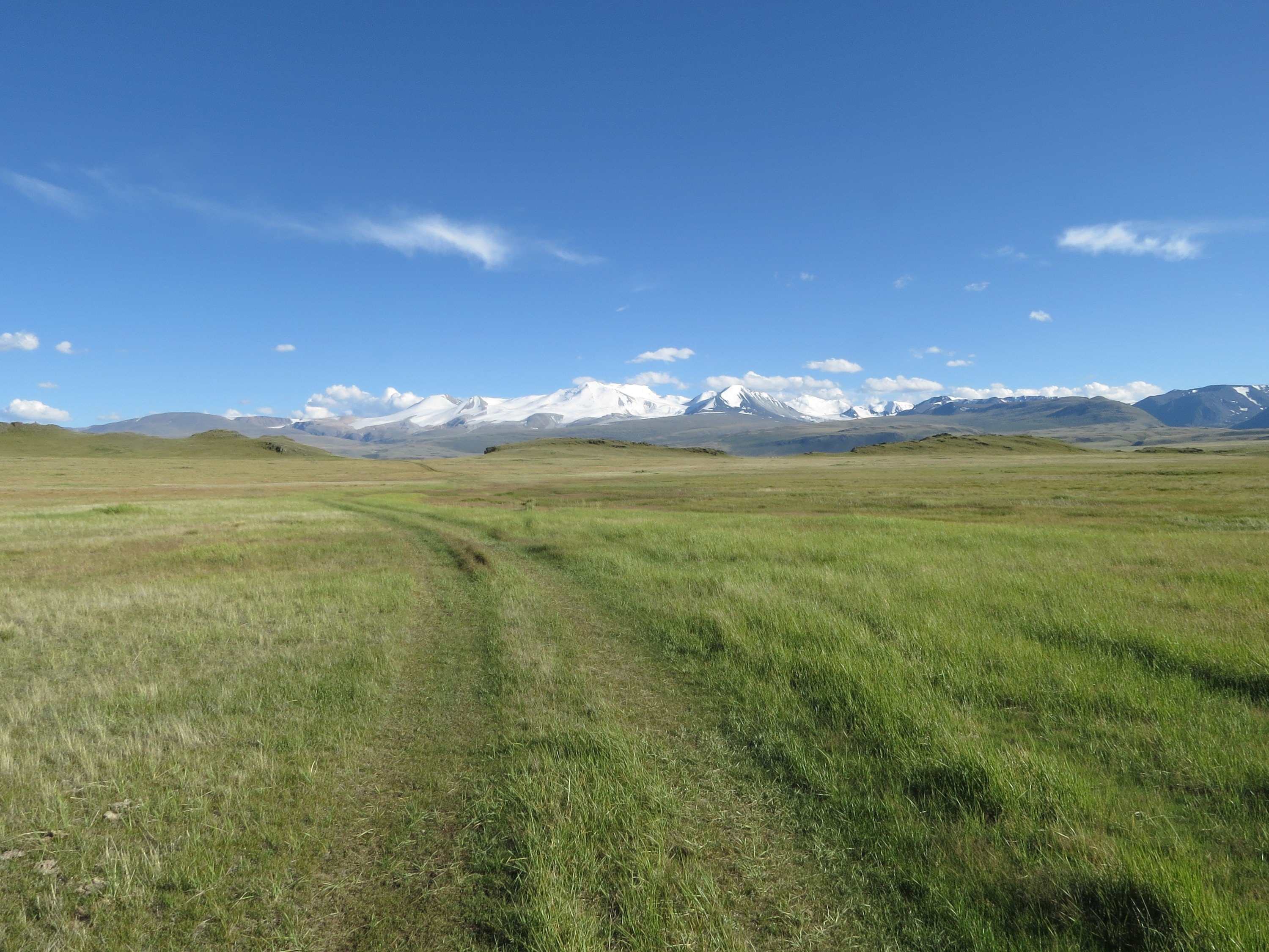 Село петропавловское алтайский. Алтайское плоскогорье Петропавловский район. Положение формы равнины Укок на территории.