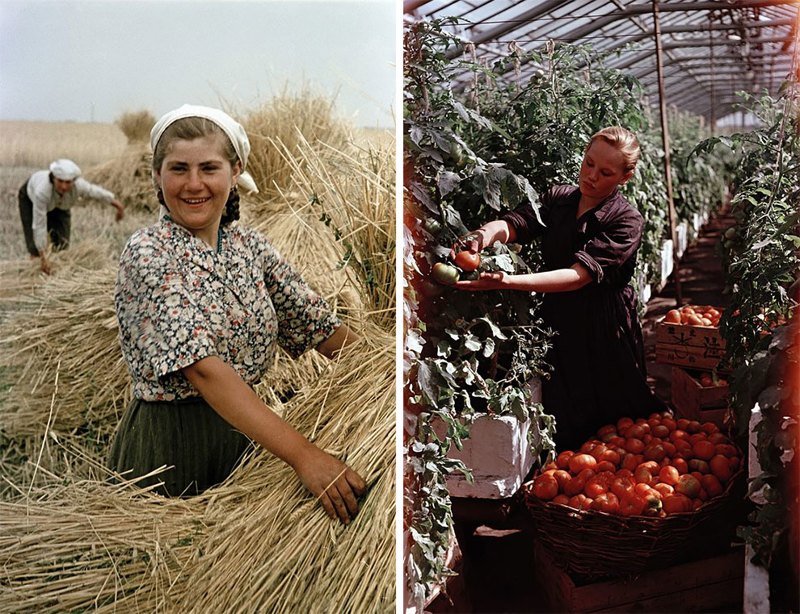 Полные ностальгии яркие советские фотографии Семёна Фридлянда
