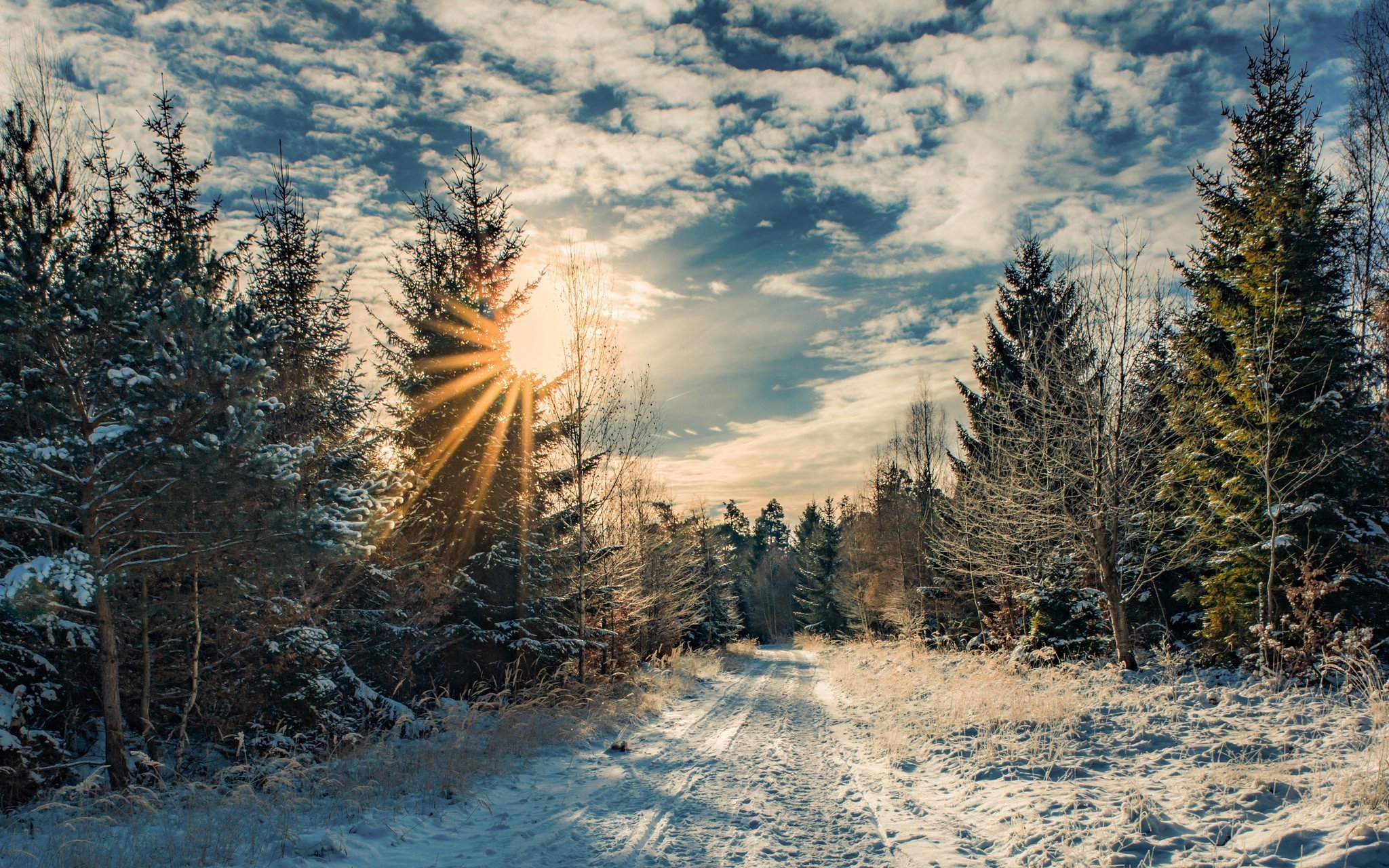 Зимний Пейзаж Солнечный День