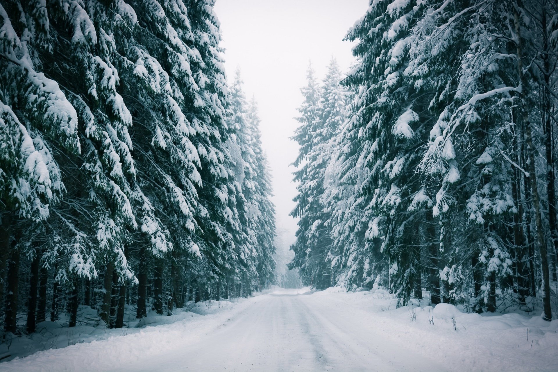 дорога снег зима лес скачать