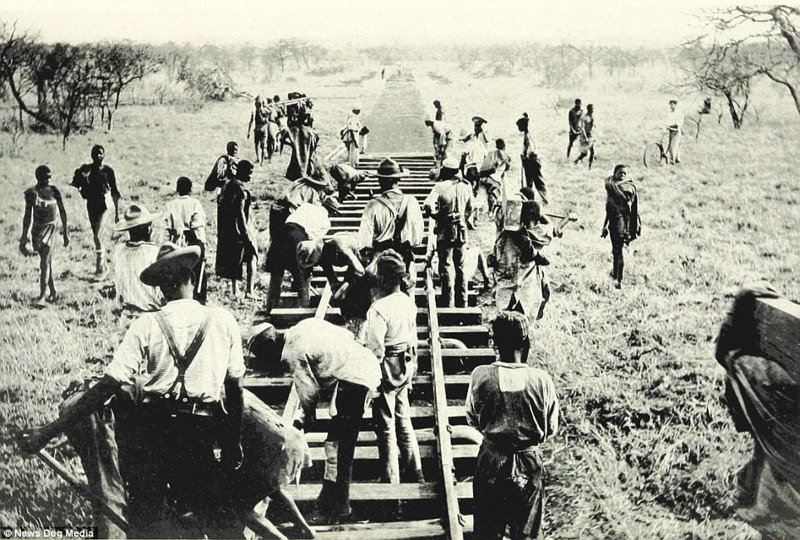 Строительство железной дороги в сельской глуши, ок. 1899 г.
