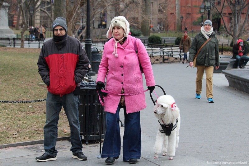 Жители Нью-Йорка. Вашингтон-сквер