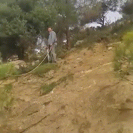 Спасение горного козла