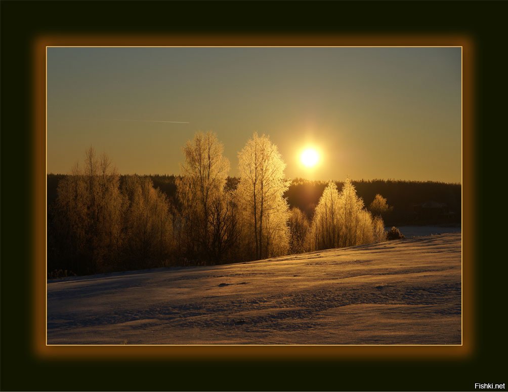Обычный день и будет вечер. Природа вечер. Зимний рассвет. Зимний Восход солнца. Утреннее солнце зимой.