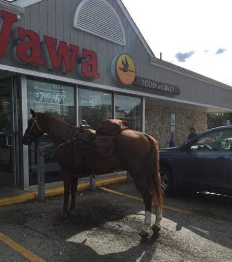 Радует, что даже если припарковался не там, то уж лошадь точно не эвакуируют