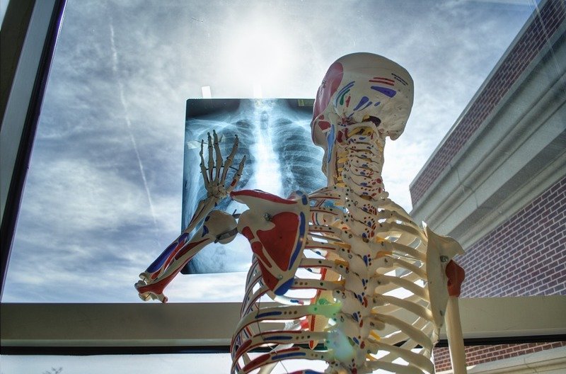В теле человека постоянно идет обновление органов, включая кости. Каждые 7 лет наши кости  кости претерпевают полное обновление