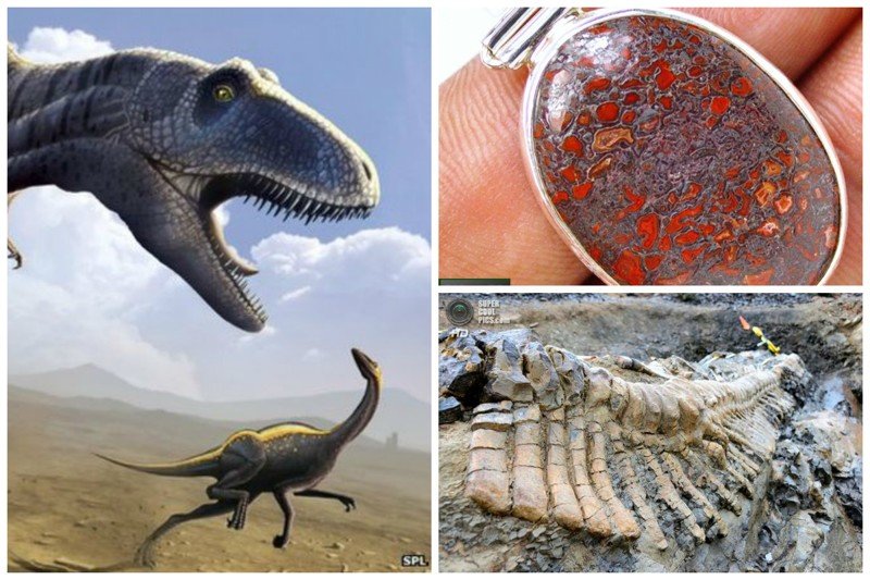 Кости динозавров, которые вы видите в музеях - на самом деле не кости