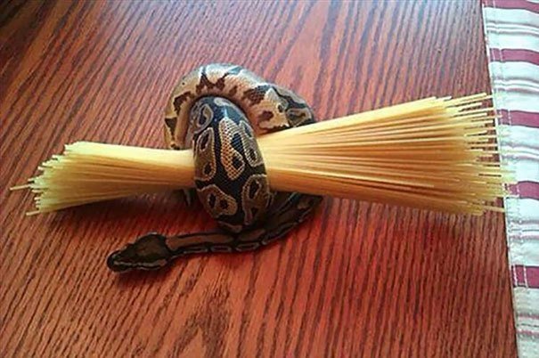 Храните спагетти удобно - например, с помощью змеи