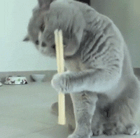 Фигня какая-то, а не палочки