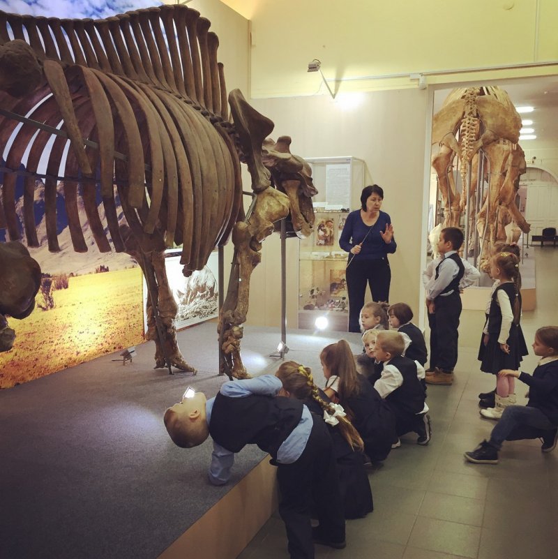 Дети в палеонтологическом музее 