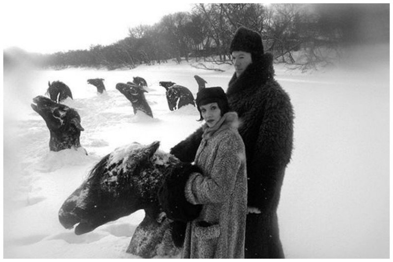 Застывшие в снежном плену лошади или все-таки какой-то странный памятник?