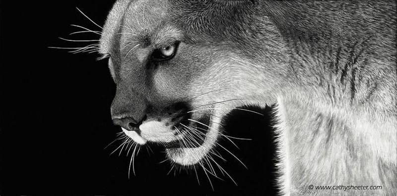 Гиперреалистичные портреты животных в технике скретчборд: это потрясающе!