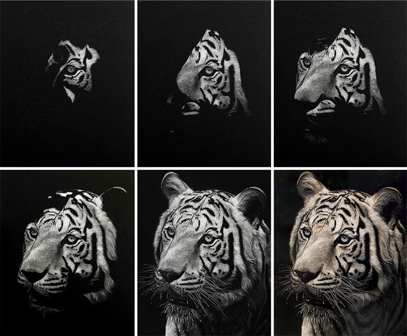 Гиперреалистичные портреты животных в технике скретчборд: это потрясающе!