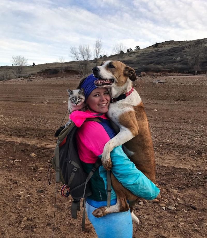 Кот и пес путешествуют вместе со своими хозяевами по Колорадо