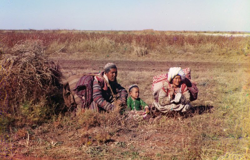 Киргизы-кочевники в Голодной степи (нынешний Узбекистан и Казахстан), около 1910 года. (Prokudin-Gorskii Collection/LOC)