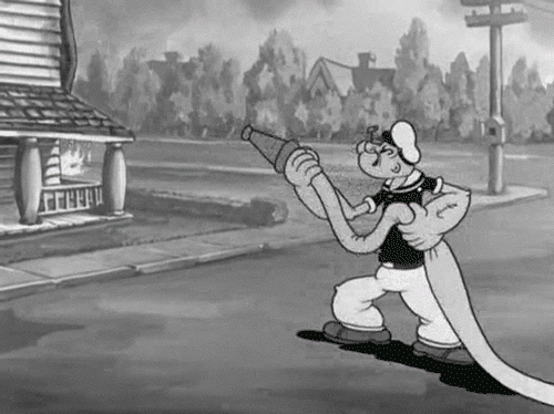 f549e9b01c120ead2c4d070f0239987b.gif