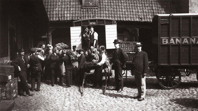 Первые бананы в Норвегии, 1905 год.