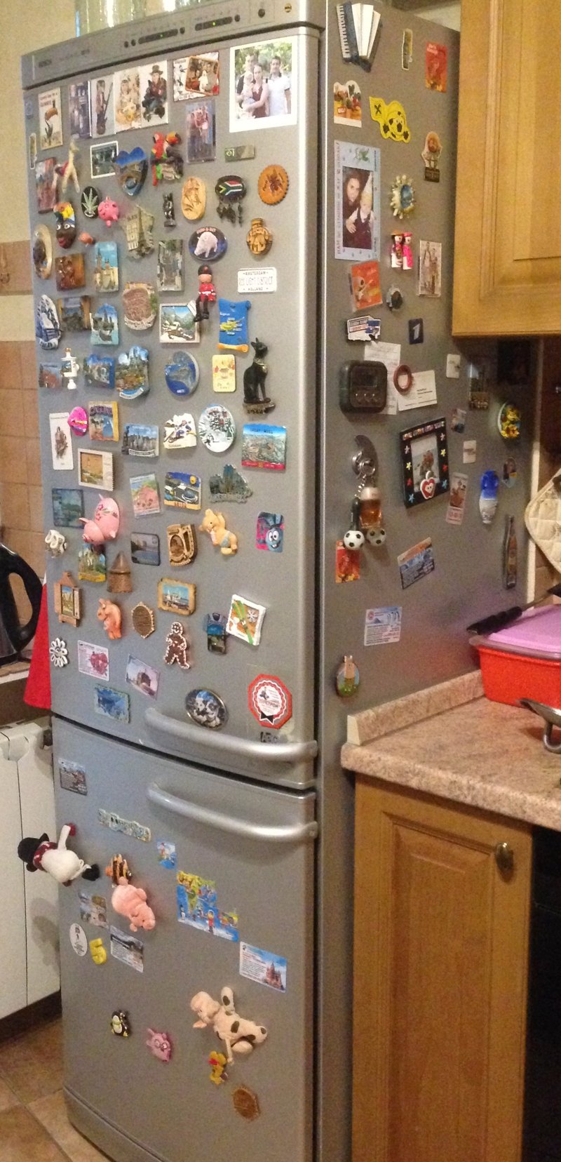Холодильник ещё одного жителя Москвы