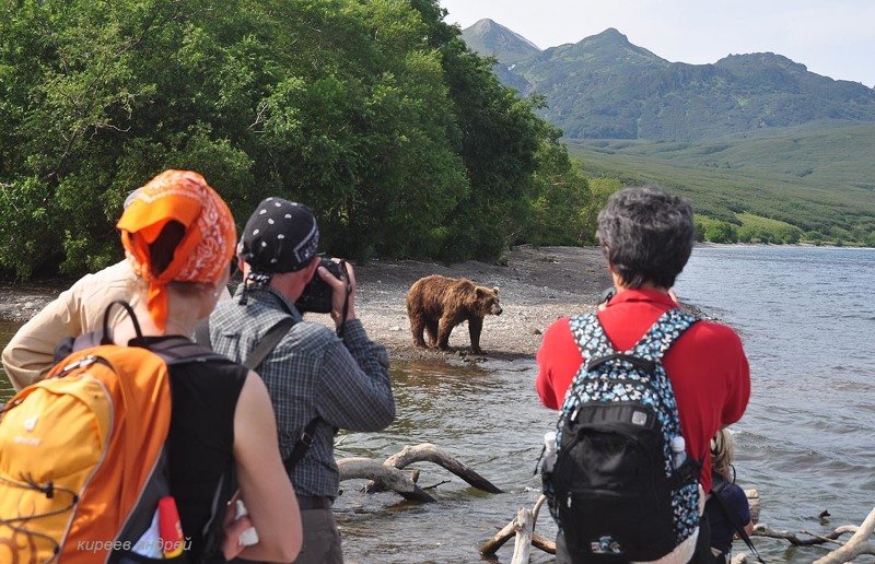 На медведя с фотоаппаратом!