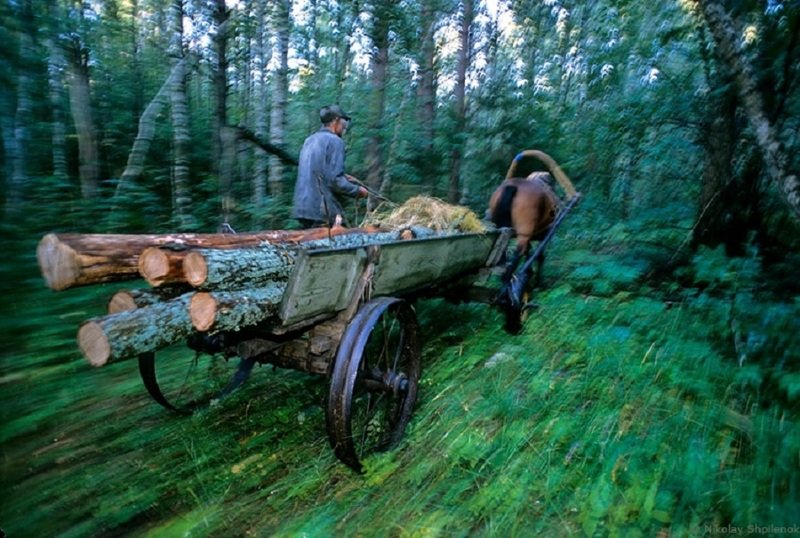 Очерк о русской лесной деревне Чухраи, затерянной в брянских лесах и во времени