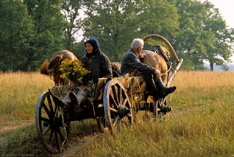 Очерк о русской лесной деревне Чухраи, затерянной в брянских лесах и во времени