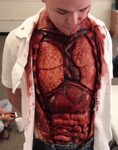 Внутренние органы