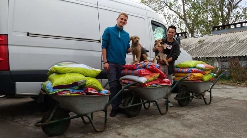 Румынский студент взял на довольствие 850 собак