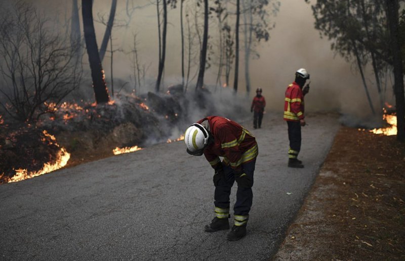 В борьбе с пожаром приняли участие более 2000 пожарных, бойцы национальной гвардии и армейские подразделения