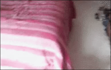 Мыться не хочет, а вот погулять с радостью