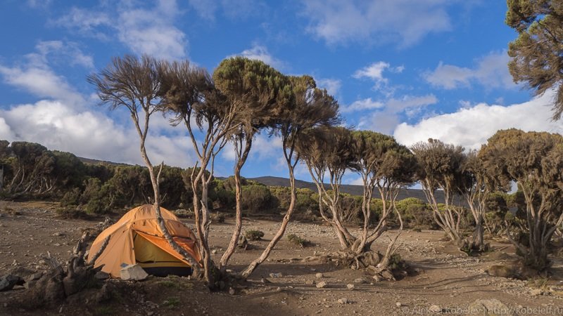 Санаторий-профилакторий «Килиманджаро»