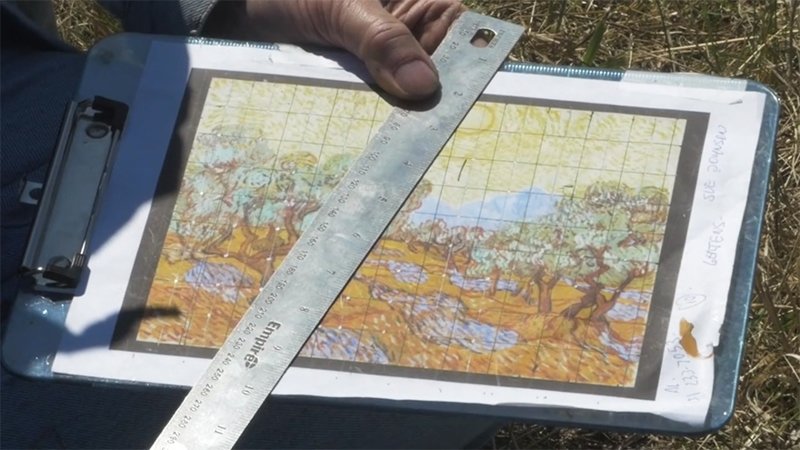 Художник воссоздал картину Ван Гога на поле площадью 5000 квадратных метров
