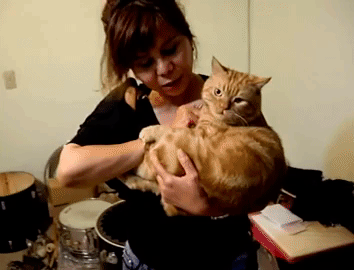 Гифки дня Гифки дня