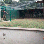 Гифки дня Гифки дня