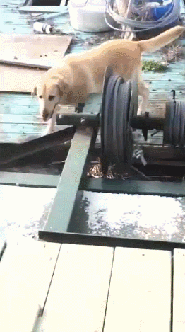 Преграда на пути