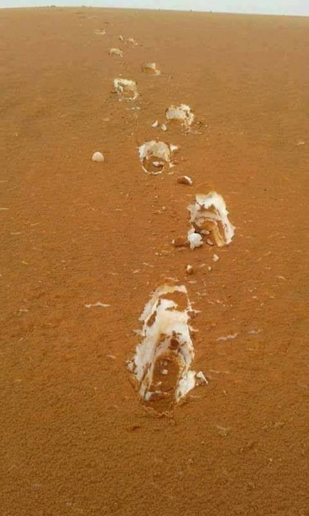 Пустыня в Алжире: песок укрыл снег и сделал пейзаж похожим на тирамису
