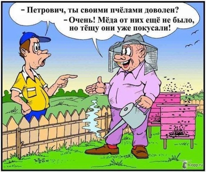 Украинские комедии