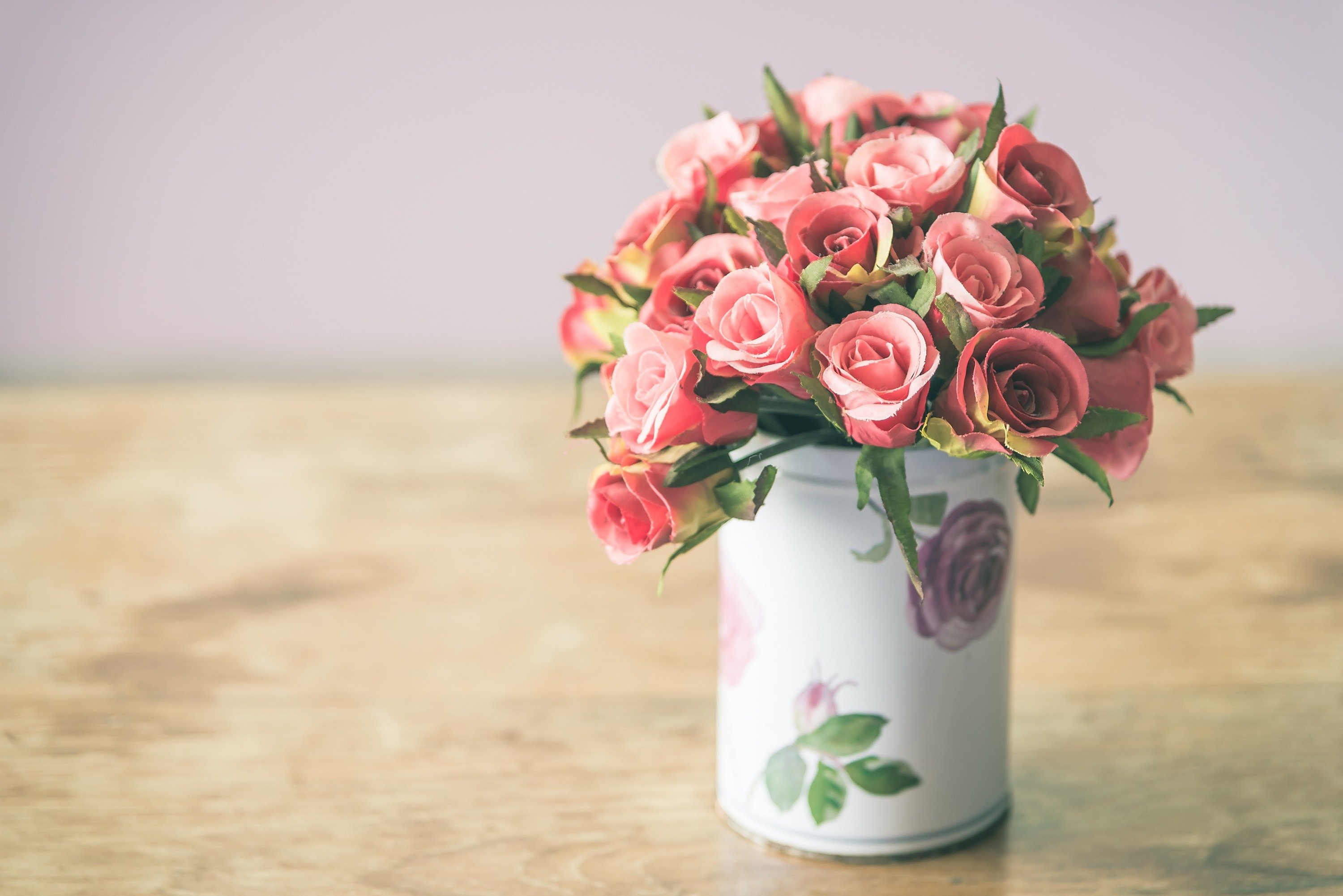 цветок ваза минимализм бесплатно