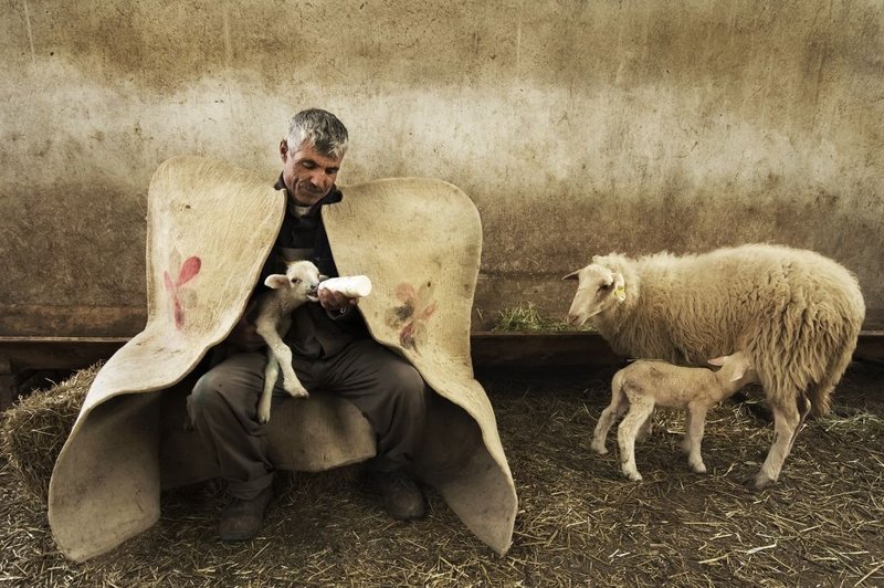 Подборка лучших фотографий, опубликованных журналом National Geographic в ноябре 2017 года